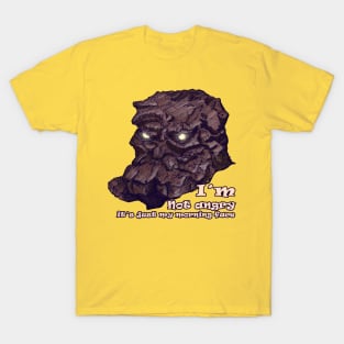 Not Angry T-Shirt